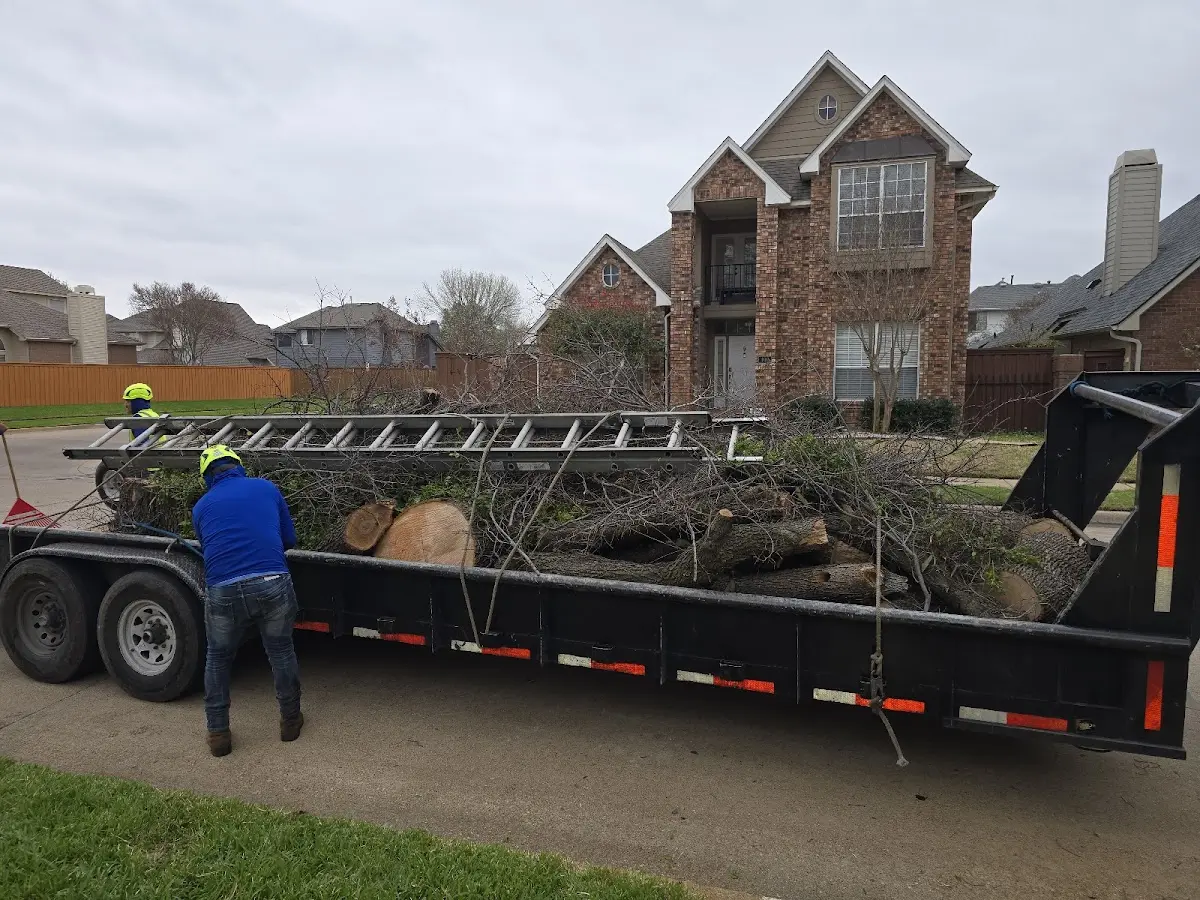 Expert Tree Fertilization with proper safety equipment in Shadyside